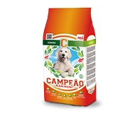 Campeão Júnior 20 kg